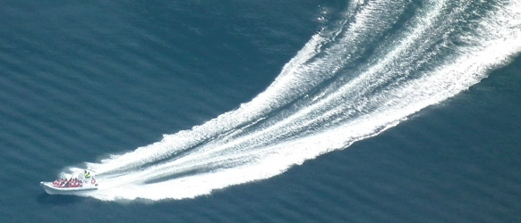 Fjordsafari RIB båt 7 Fjordsafari RIB båt 7